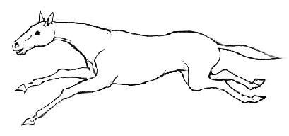 image004