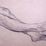 drw_1105