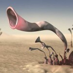 "Музыка пустыни", 2006 - Выполнено в Animation:Master